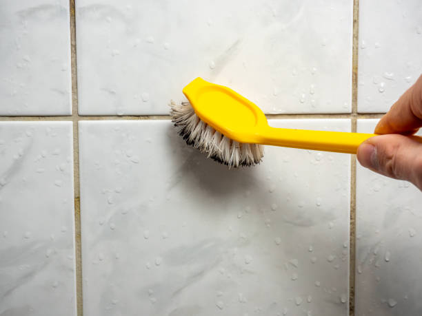 Professional Mold Removal in Point Clear, AL