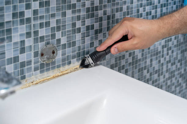 Best Best Mold Removal Companies  in Point Clear, AL